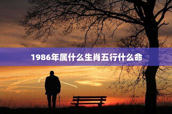 1986年属什么生肖五行什么命