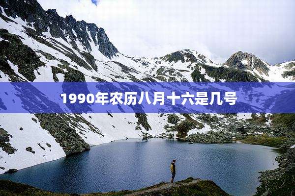 1990年农历八月十六是几号