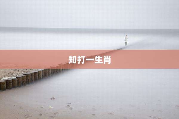 知打一生肖