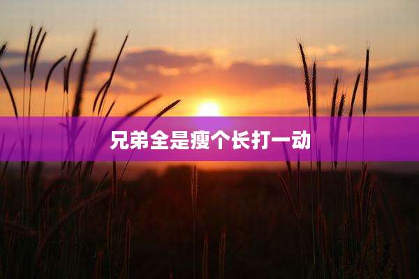 兄弟全是瘦个长打一动