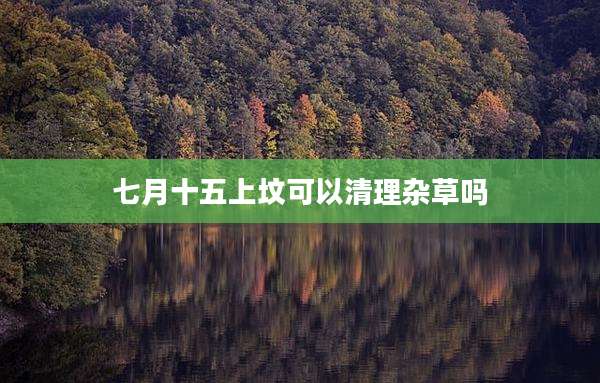 七月十五上坟可以清理杂草吗
