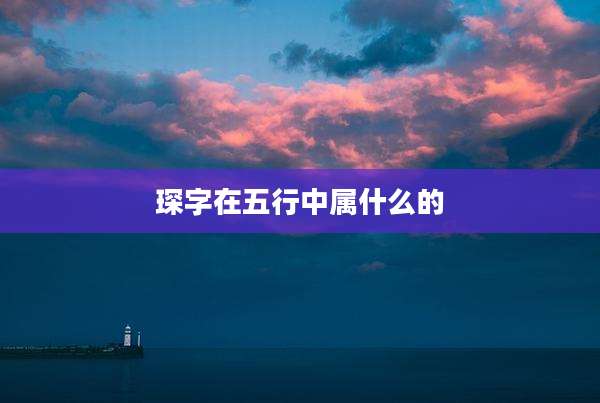 琛字在五行中属什么的