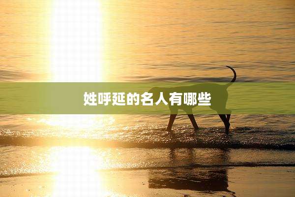 姓呼延的名人有哪些
