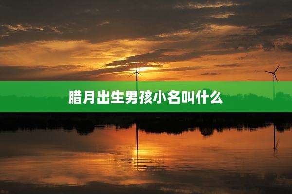 腊月出生男孩小名叫什么