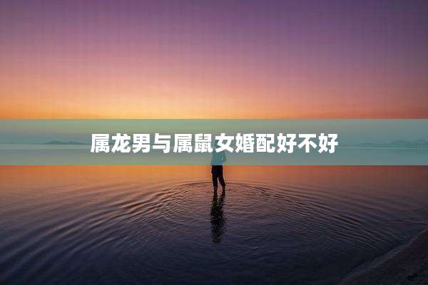 属龙男与属鼠女婚配好不好