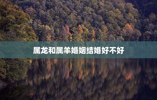 属龙和属羊婚姻结婚好不好