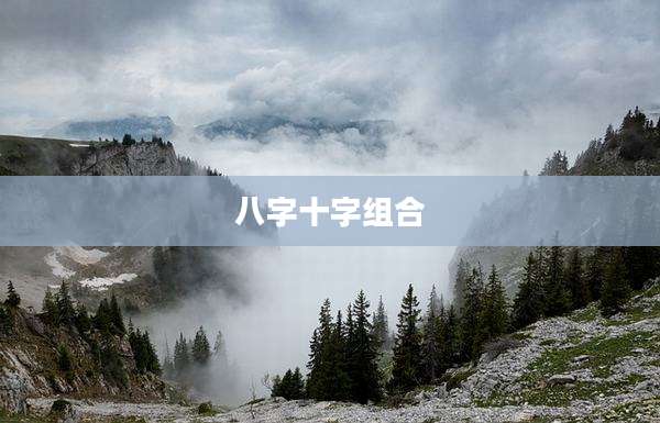 八字十字组合