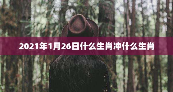 2021年1月26日什么生肖冲什么生肖