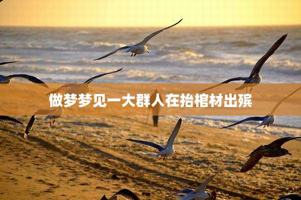做梦梦见一大群人在抬棺材出殡