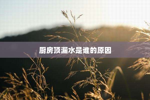 厨房顶漏水是谁的原因