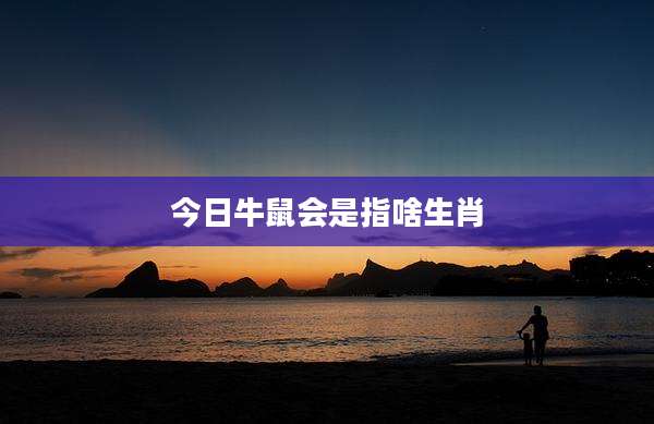 今日牛鼠会是指啥生肖