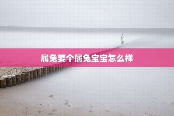 属兔要个属兔宝宝怎么样