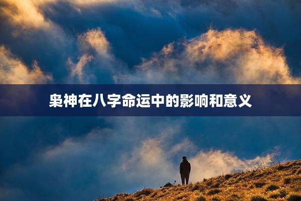 枭神在八字命运中的影响和意义