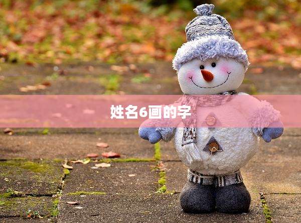 姓名6画的字