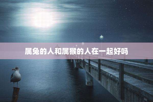 属兔的人和属猴的人在一起好吗