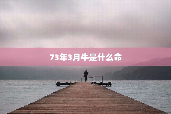73年3月牛是什么命