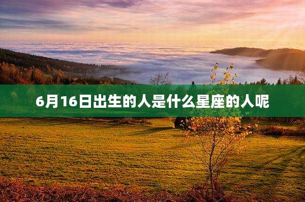 6月16日出生的人是什么星座的人呢