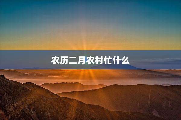 农历二月农村忙什么