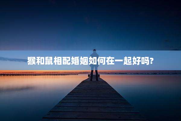 猴和鼠相配婚姻如何在一起好吗?