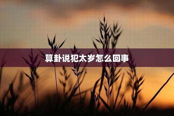 算卦说犯太岁怎么回事