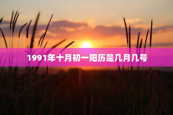 1991年十月初一阳历是几月几号