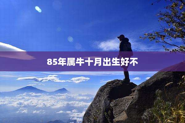 85年属牛十月出生好不