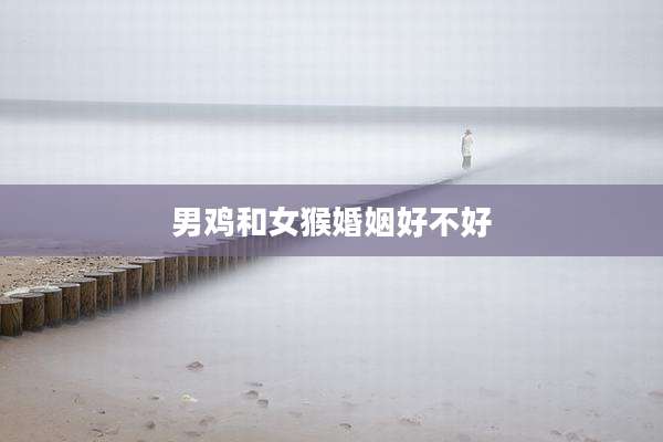男鸡和女猴婚姻好不好