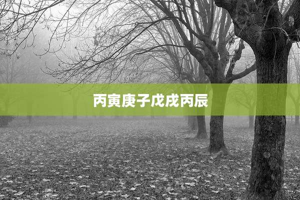丙寅庚子戊戌丙辰