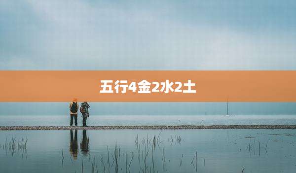 五行4金2水2土