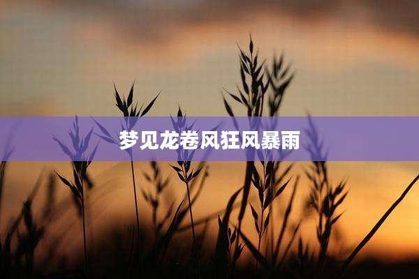 梦见龙卷风狂风暴雨
