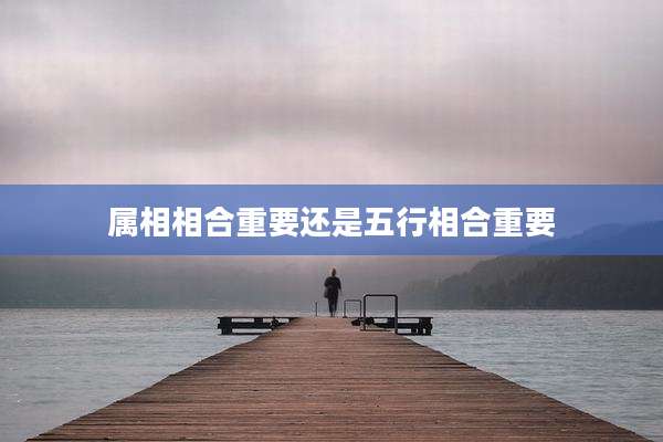 属相相合重要还是五行相合重要