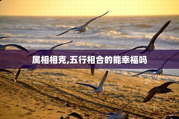 属相相克,五行相合的能幸福吗