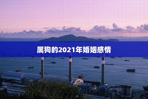 属狗的2021年婚姻感情