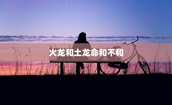 火龙和土龙命和不和