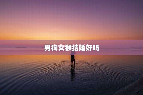 男狗女猴结婚好吗