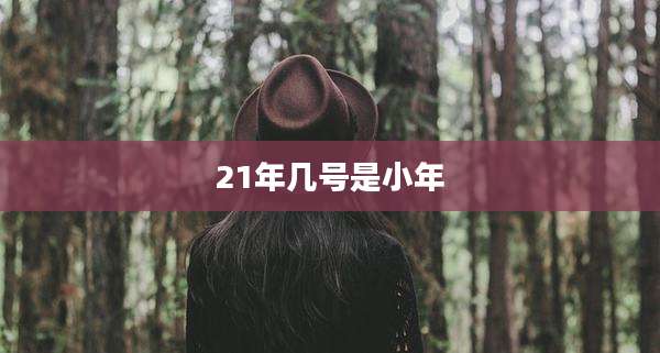 21年几号是小年