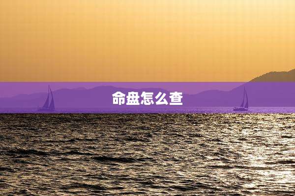 命盘怎么查