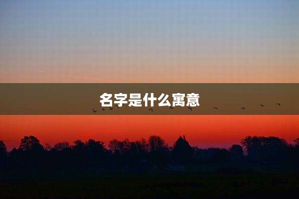 名字是什么寓意