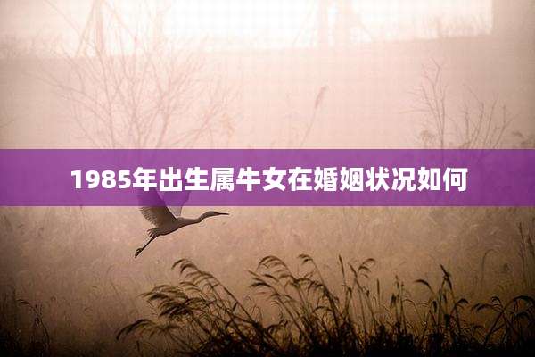 1985年出生属牛女在婚姻状况如何