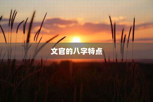 文官的八字特点