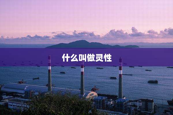 什么叫做灵性