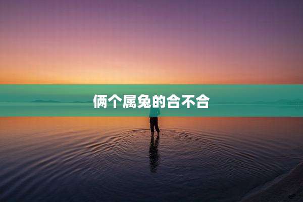 俩个属兔的合不合