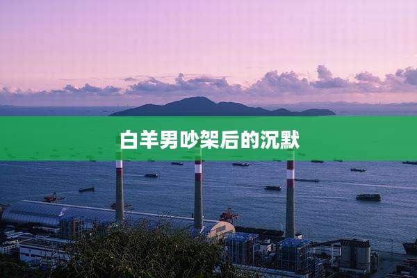 白羊男吵架后的沉默