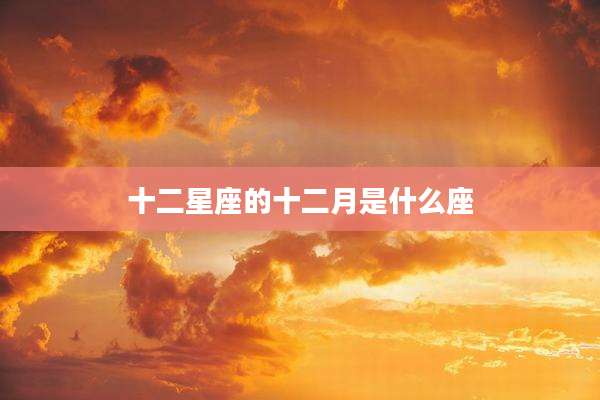 十二星座的十二月是什么座