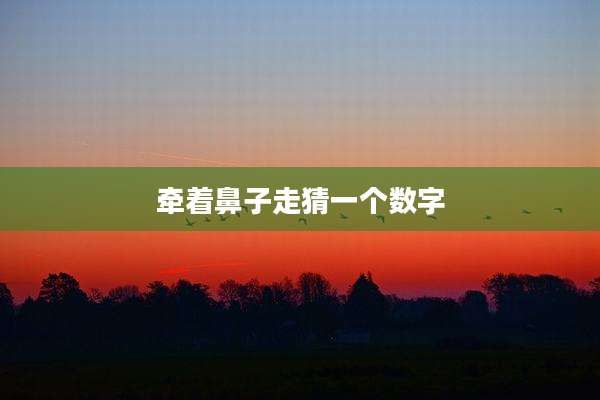 牵着鼻子走猜一个数字
