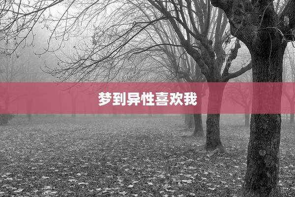 梦到异性喜欢我