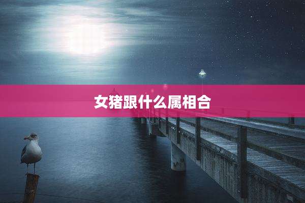 女猪跟什么属相合