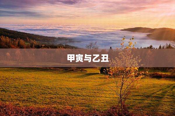 甲寅与乙丑