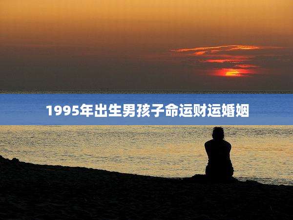 1995年出生男孩子命运财运婚姻