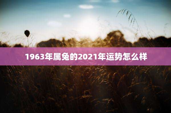 1963年属兔的2021年运势怎么样